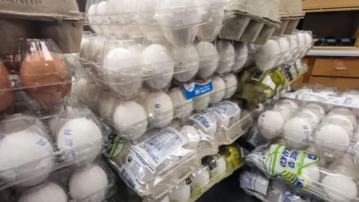 Aumenta el contrabando de huevos a medida que la mitigación de la gripe aviar eleva sus precios