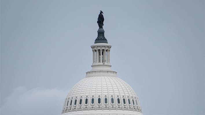 El edificio del Capitolio de Estados Unidos en Washington el 19 de febrero de 2025. (Madalina Vasiliu/The Epoch Times)
