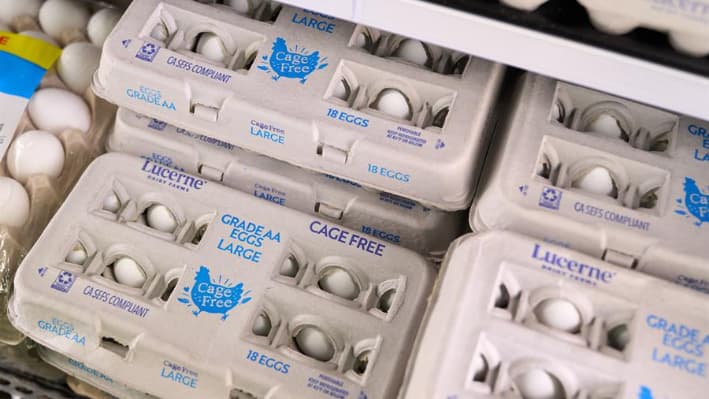 EE. UU. alerta de un alza del 158 % del tráfico de huevos mexicanos por San Diego