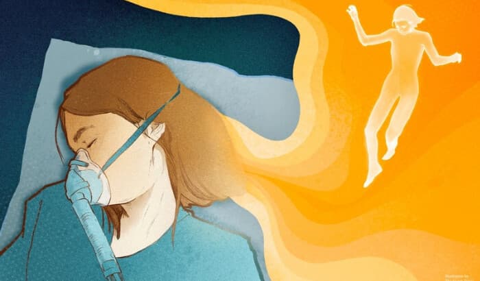 Si la conciencia no se va a la tumba, ¿A dónde va entonces?