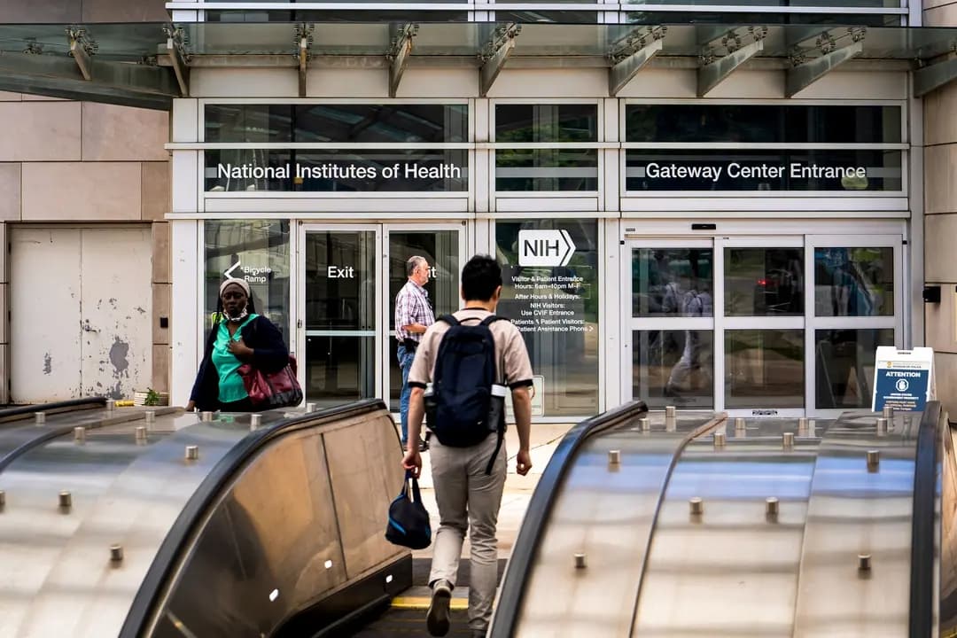 Los Institutos Nacionales de Salud en Bethesda, Maryland, el 30 de mayo de 2024. (Madalina Vasiliu/The Epoch Times)
