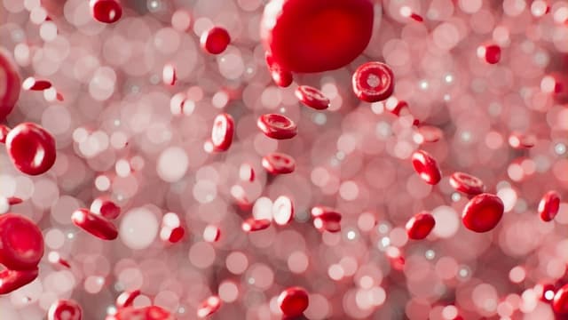 Lo que debe saber sobre los análisis de sangre para detectar microplásticos en casa