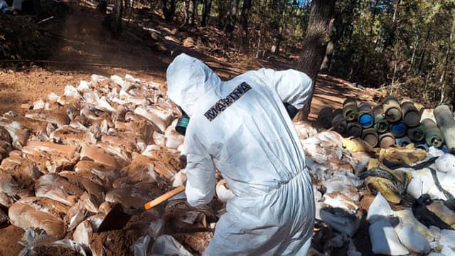 Desmantelan narcolaboratorio de 395,000 metros cuadrados en norte de México