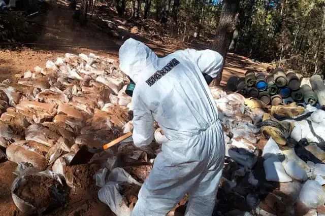 Desmantelan narcolaboratorio de 395,000 metros cuadrados en norte de México