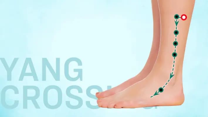 Yang Jiao: Un punto de acupuntura poco apreciado para la ansiedad y las palpitaciones