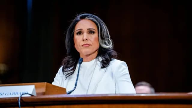 La aplicación Signal está preinstalada en los dispositivos del gobierno, declara Gabbard