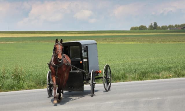 Tragedia en Michigan: Accidente con una calesa amish deja una niña muerta y un niño herido