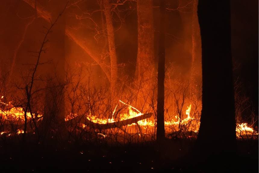 Autoridades prevén que el incendio forestal en  Nueva Jersey avance antes de ser controlado