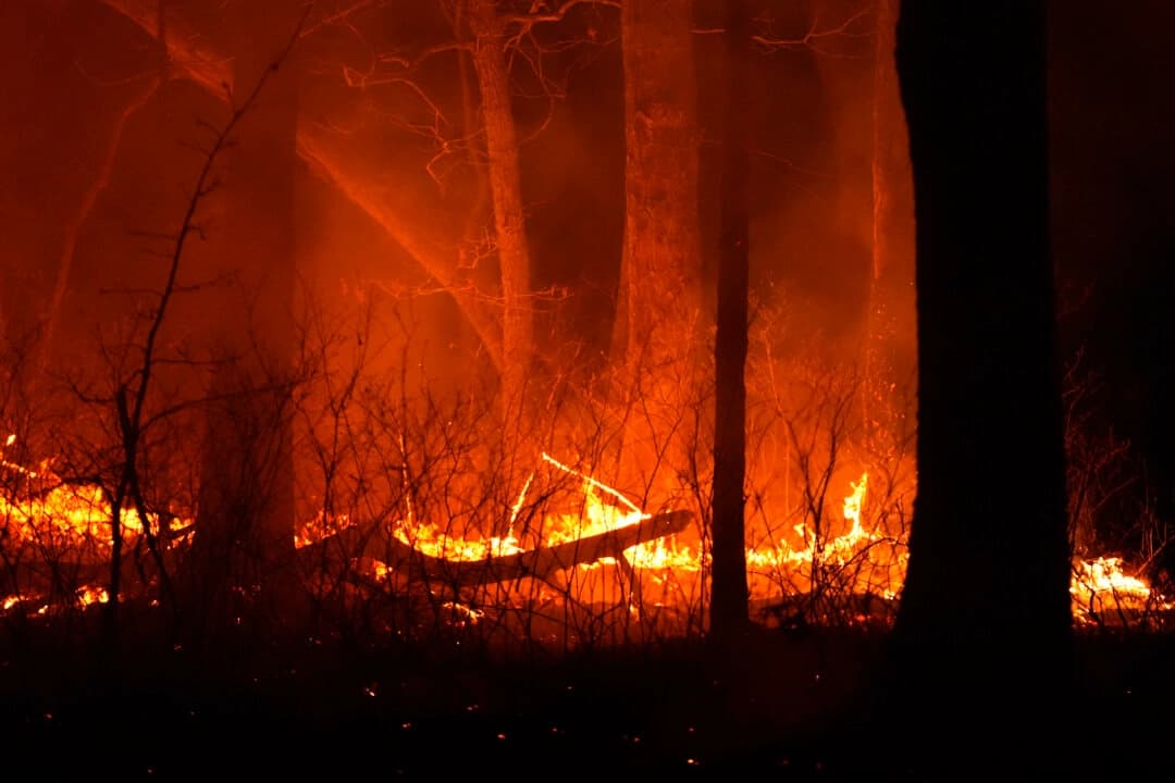 Acusan a hombre de provocar incendio forestal premeditado en Pine Barrens de Nueva Jersey