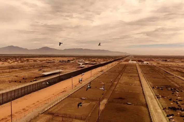 Una vista de dron muestra ganado en corrales antes de ser exportado a Estados Unidos a través del cruce fronterizo Jerónimo-Santa Teresa, luego de que Estados Unidos permitiera reanudar las importaciones de ganado mexicano después de levantar una suspensión temporal debido a la detección del gusano barrenador del Nuevo Mundo, en las instalaciones de la Unión Ganadera Regional de Chihuahua, en las afueras de Ciudad Juárez, México, el 10 de febrero de 2025. (Jose Luis Gonzalez/Reuters)