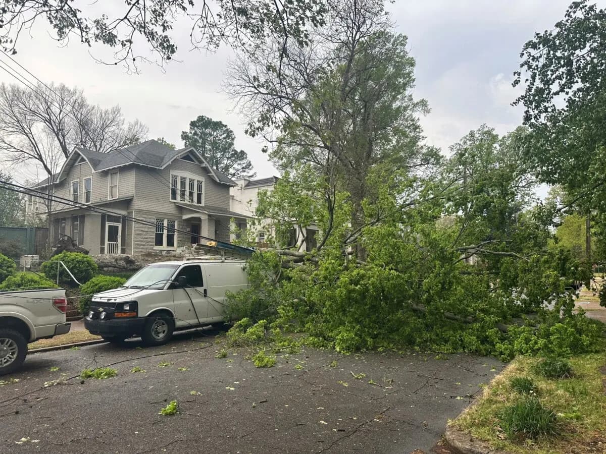 Un árbol caído, que derribó cables eléctricos, está bloqueando una calle del barrio durante las tormentas en Memphis, Tennessee, el 2 de abril de 2025. (Adrian Sainz/Foto de AP)
