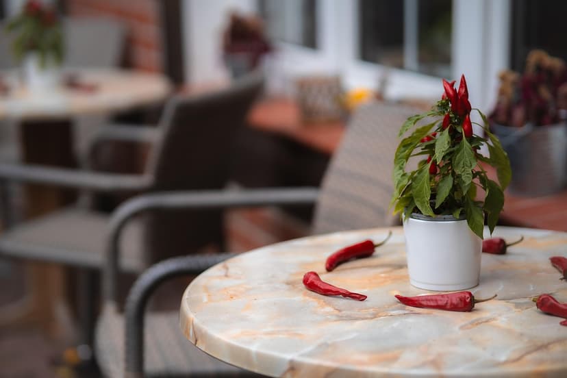 Imagen de <a href="https://pixabay.com/es/users/guvo59-9285194/?utm_source=link-attribution&amp;utm_medium=referral&amp;utm_campaign=image&amp;utm_content=8362445">Gundula Vogel</a> en <a href="https://pixabay.com/es//?utm_source=link-attribution&amp;utm_medium=referral&amp;utm_campaign=image&amp;utm_content=8362445">Pixabay</a>