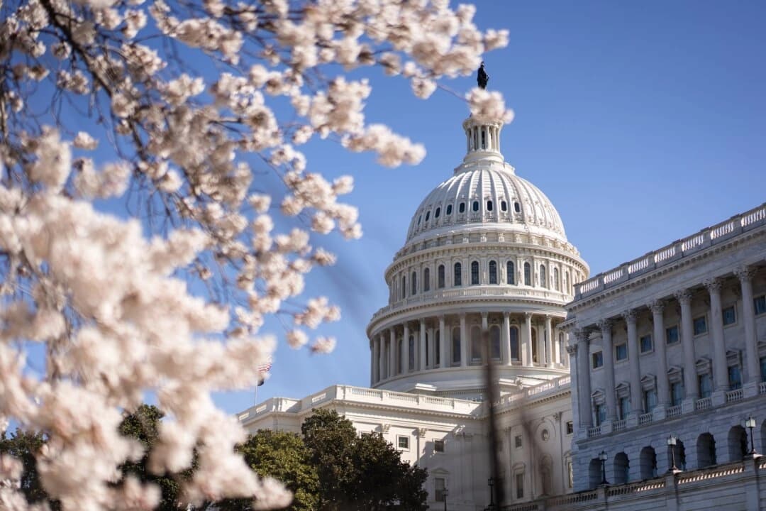 El Capitolio de Estados Unidos en Washington el 27 de marzo de 2025. (Madalina Vasiliu/The Epoch Times)
