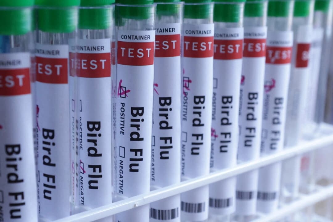 En esta ilustración tomada el 10 de junio de 2024 se ven tubos de ensayo etiquetados con las palabras "gripe aviar". (Dado Ruvic/Reuters)