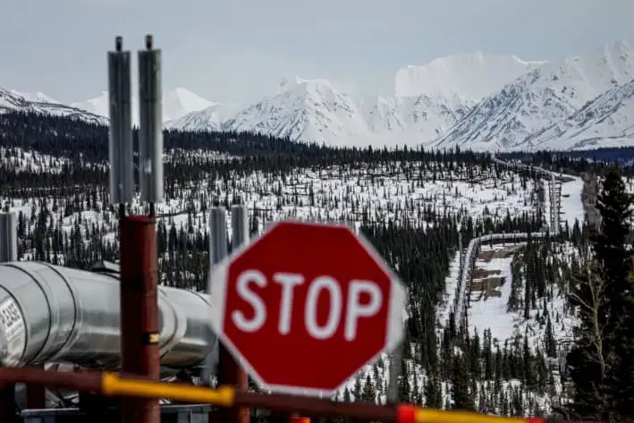 Un tramo del sistema de oleoductos Trans Alaska atraviesa un bosque boreal, pasando por la cordillera de Alaska, cerca de Delta Junction, Alaska, el 5 de mayo de 2023. (Mario Tama/Getty Images)