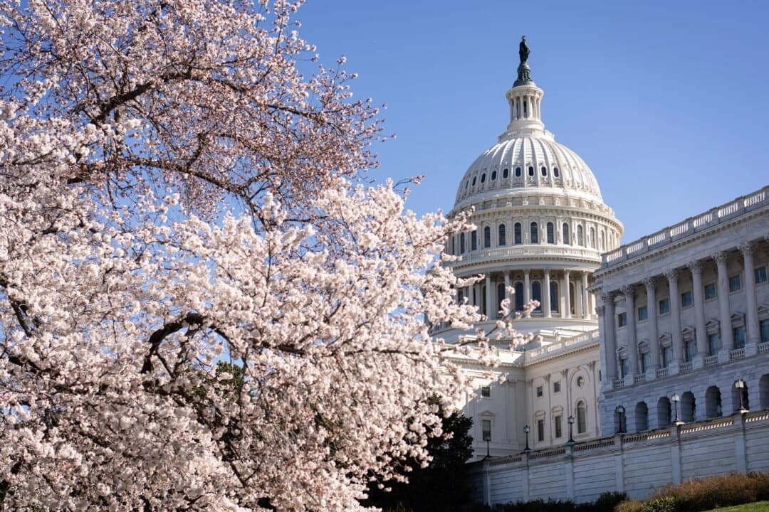 Cámara de Representantes aprueba plan presupuestario para impulsar la agenda de Trump