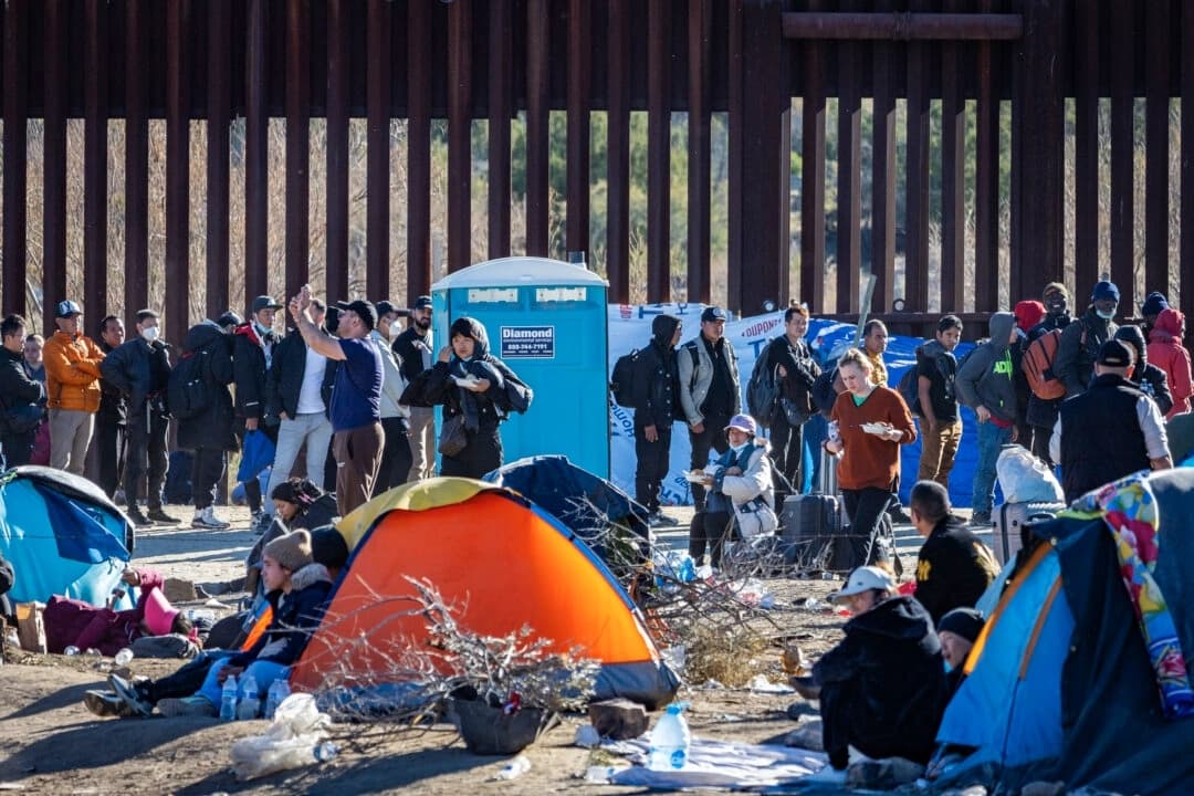 Inmigrantes ilegales en lista de vigilancia del terrorismo recibieron Medicaid y seguro de desempleo: DOGE