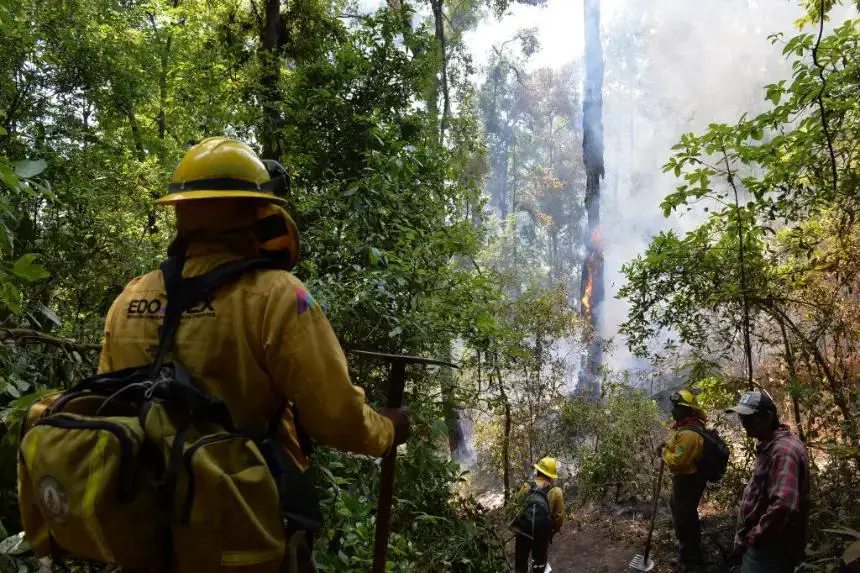 Bomberos forestales y voluntarios trabajan para apagar un incendio en la comunidad de Pinal de Marquesado en Otzoloapan, Estado de México, el 6 de mayo de 2024. (Mario Vazquez/AFP vía Getty Images)