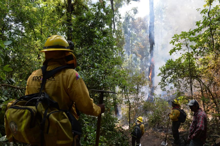 México registra 114 incendios forestales activos con afectación en 38,045 hectáreas