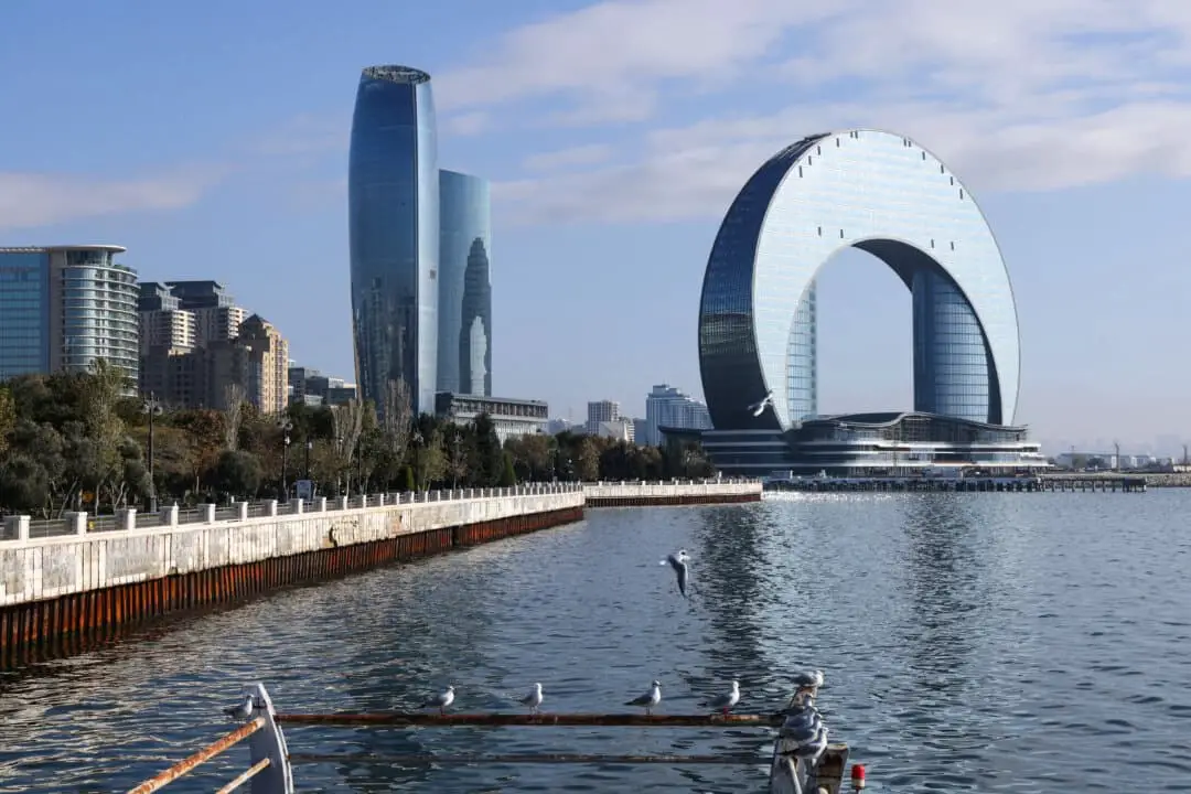 Gaviotas posadas en la costa del mar Caspio en Bakú, Azerbaiyán, el 10 de noviembre de 2024. (Sean Gallup/Getty Images).
