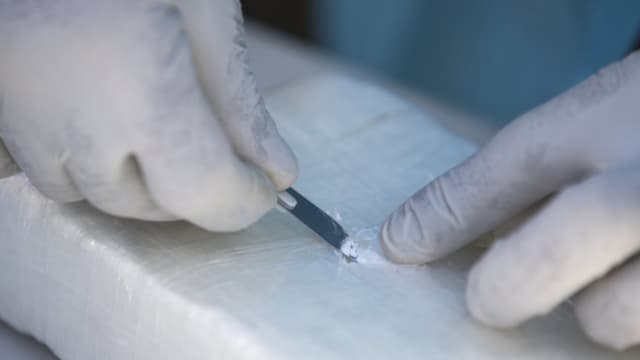 México confisca más de una tonelada de cocaína en las costas del sur del país