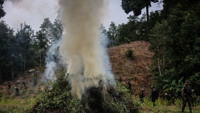 Destruyen más de 13 toneladas de precursores químicos y drogas en el este de México