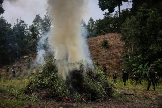 Imagen de archivo de miembros del Ejército mexicano que incineraron tres siembras clandestinos de planta de coca, en el estado de Michoacán (México). (EFE/David Guzmán).