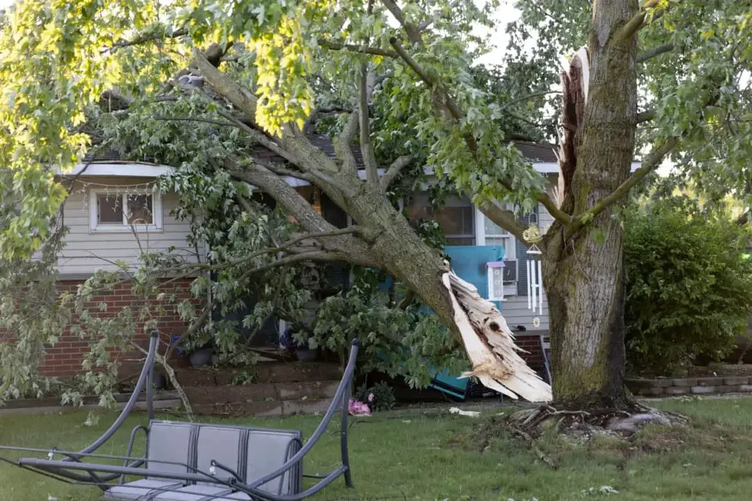 Un árbol caído sobre una casa en Dorr, Michigan, tras una fuerte tormenta que azotó Michigan la noche anterior, el 16 de mayo de 2025. (Neil Blake/The Grand Rapids Press vía AP)
