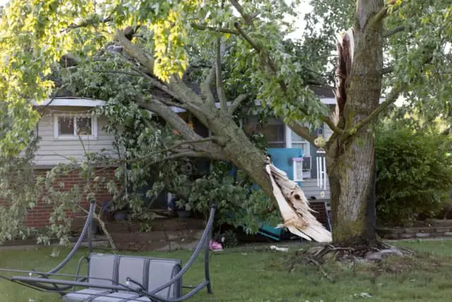 Un árbol caído sobre una casa en Dorr, Michigan, tras una fuerte tormenta que azotó Michigan la noche anterior, el 16 de mayo de 2025. (Neil Blake/The Grand Rapids Press vía AP)
