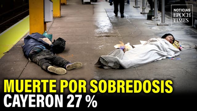 prueba