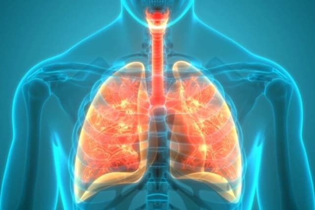 Estudio revela que la función pulmonar alcanza su máximo antes de lo que se creía