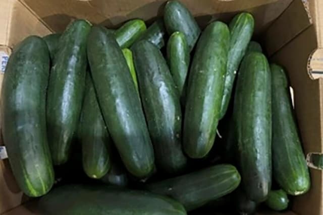 Retiran pepinos del mercado tras 26 casos de Salmonella