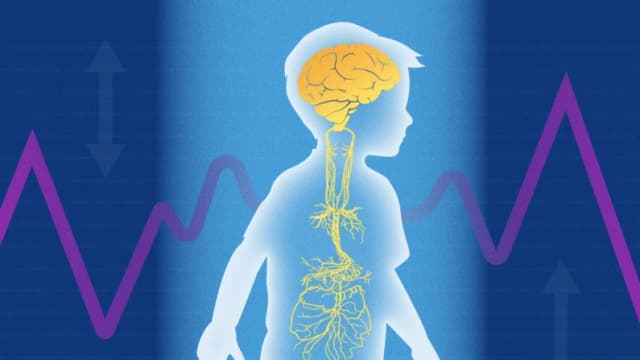 Cómo calmar el sistema nervioso autista