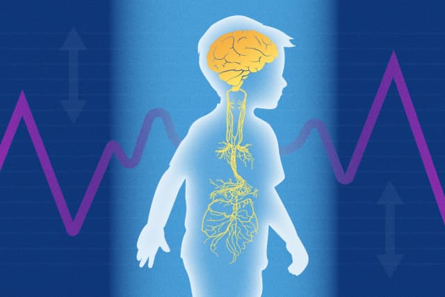 Cómo calmar el sistema nervioso autista