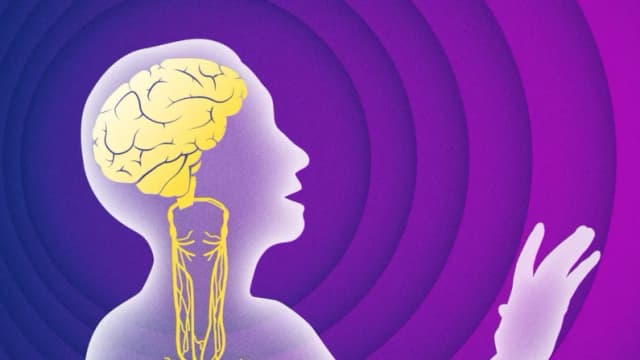 Estimular el nervio vago podría ralentizar el deterioro cognitivo, según nueva investigación