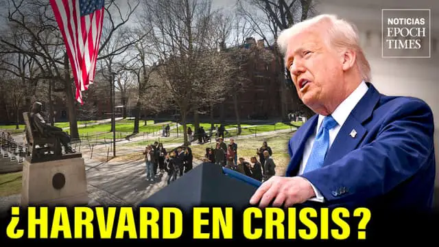 30 contratos por valor de unos $100 millones con la Harvard quedarían anulados | NET