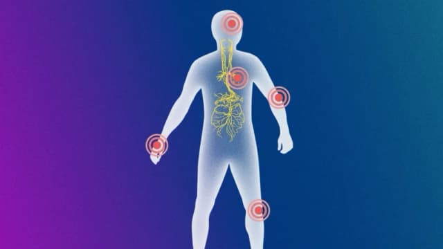 Cómo aprovechar el poder del nervio vago para contrarrestar enfermedades autoinmunes comunes