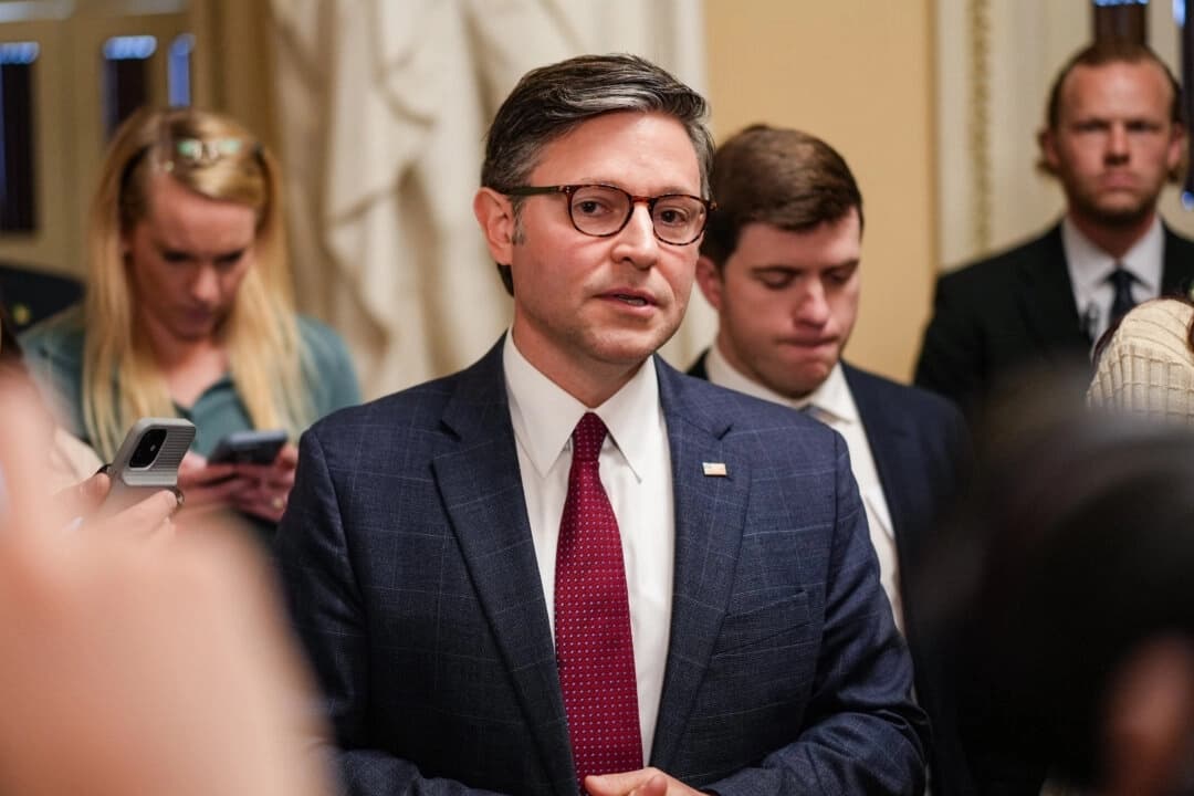 Trump y Johnson responden a Elon Musk, quien se opone al "hermoso y gran proyecto de ley"