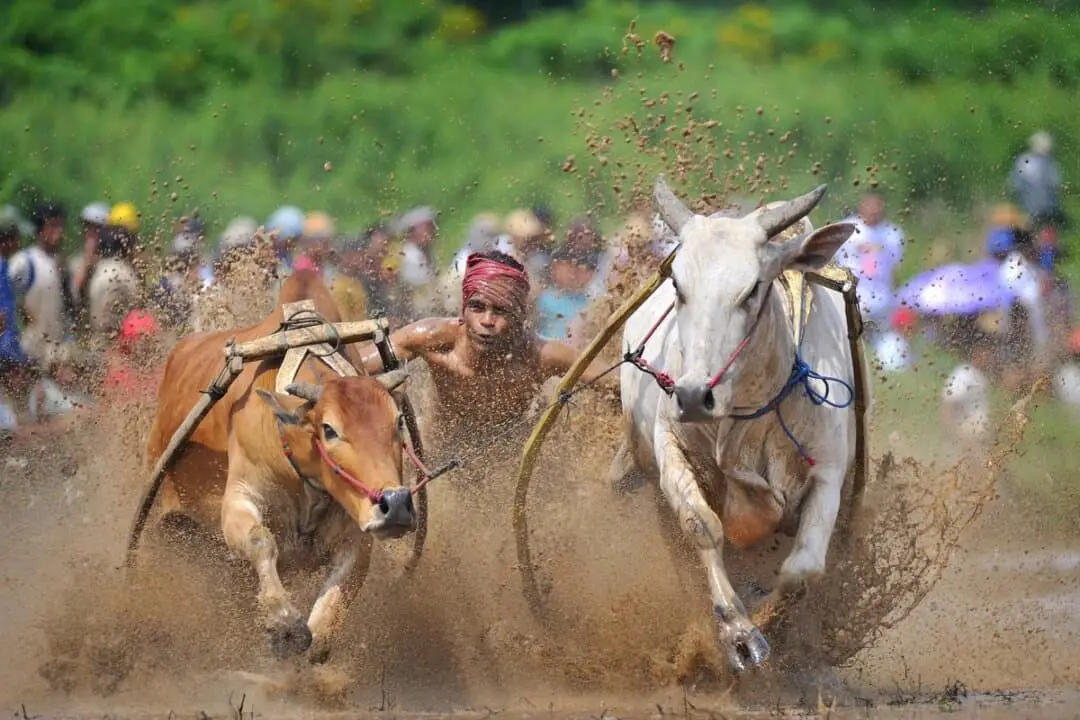 Buen deporte: NTD anuncia el Premio de Fotografía Deportiva