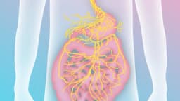 Líbrese de la Enfermedad Inflamatoria Intestinal activando el nervio vago