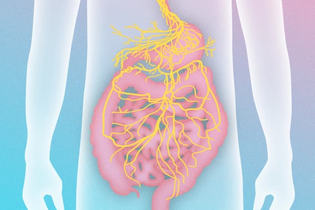 Líbrese de la Enfermedad Inflamatoria Intestinal activando el nervio vago