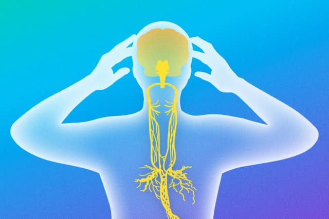 Doce maneras de activar el nervio vago y cómo practicarlas