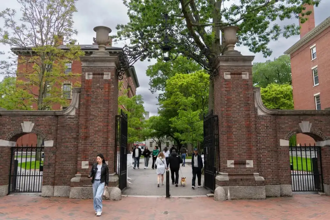 Universidad de Harvard en Cambridge, Massachusetts, el 23 de mayo de 2025. (Learner Liu/The Epoch Times)
