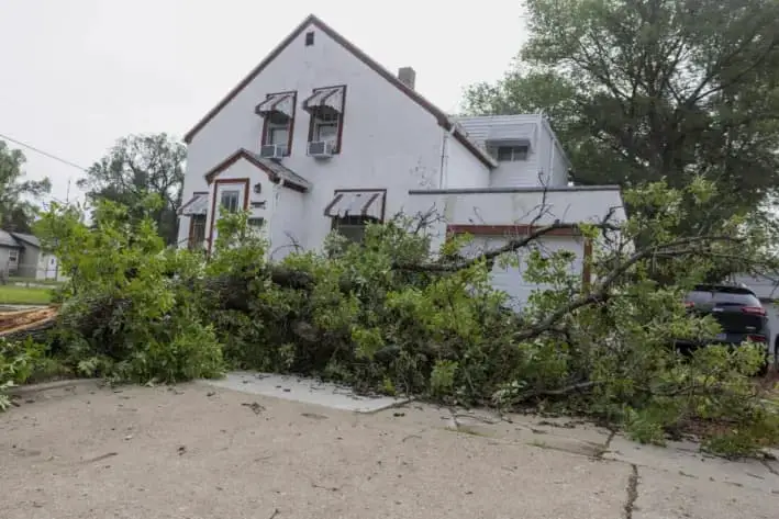 Un árbol roto yace en un patio debido a las severas tormentas eléctricas de la noche anterior en Bismarck, Dakota del Norte, el sábado 21 de junio de 2025. (Tanner Ecker/The Bismarck Tribune vía AP)