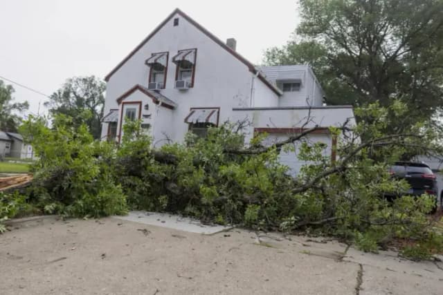 Un árbol roto yace en un patio debido a las severas tormentas eléctricas de la noche anterior en Bismarck, Dakota del Norte, el sábado 21 de junio de 2025. (Tanner Ecker/The Bismarck Tribune vía AP)