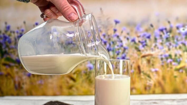 Alimentos ricos en calcio pueden ayudar a prevenir el cáncer de colon. Imagen ilustrativa: (Pixabay/ congerdesign).