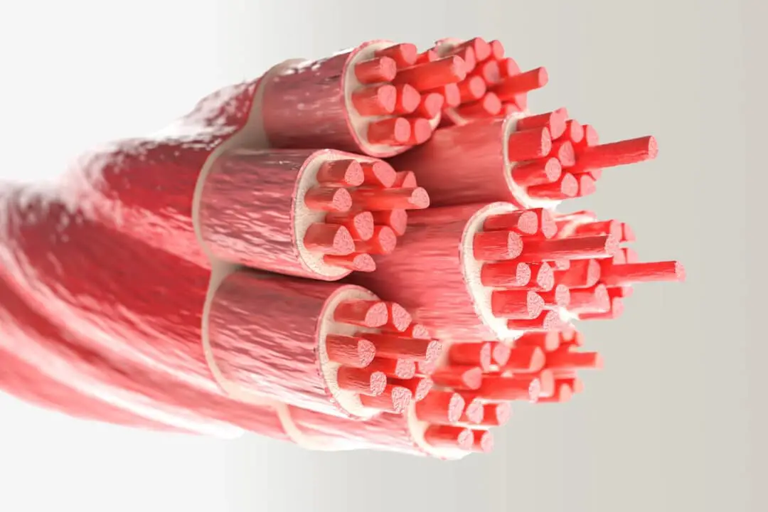 (Crevis/Shutterstock)