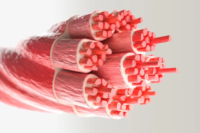 (Crevis/Shutterstock)