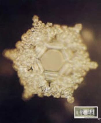 Una nota con las palabras "amor" y "gracias" se colocó en el recipiente del agua que formó este cristal. (Cortesía del Dr. Masuru Emoto).
