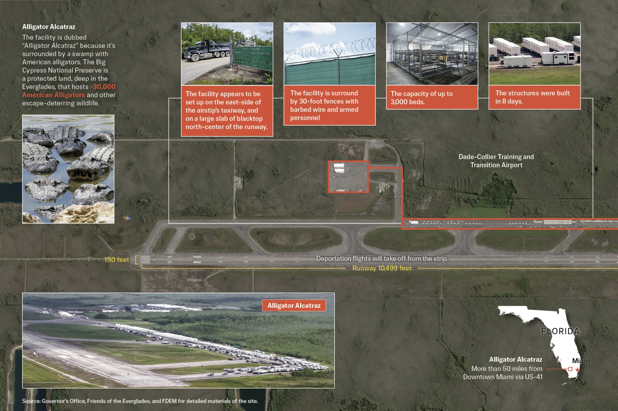 Esto debe saber sobre Alligator Alcatraz, el centro de deportación rodeado por 30,000 caimanes